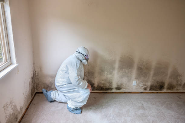 Best Biohazard Mold Removal  in Pascoag, RI